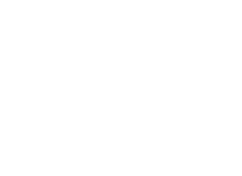 InsightBridge%20Technologies
