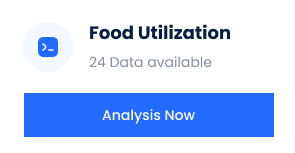 InsightBridge%20Technologies