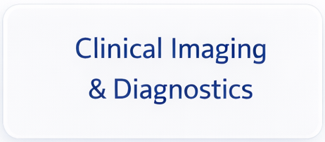 InsightBridge%20Technologies