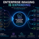 InsightBridge%20Technologies